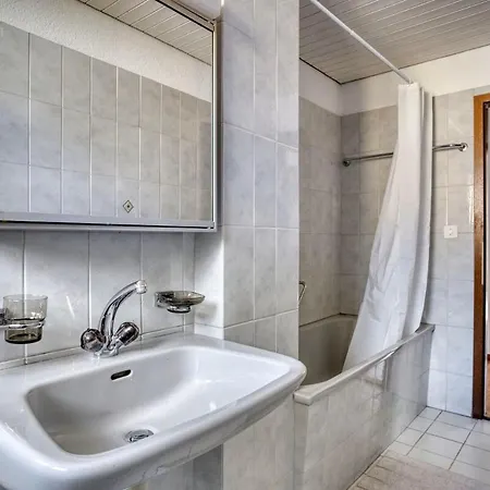 Amber 2 Schlafzimmer Balkon Ruhige Lage In Wipkingen *